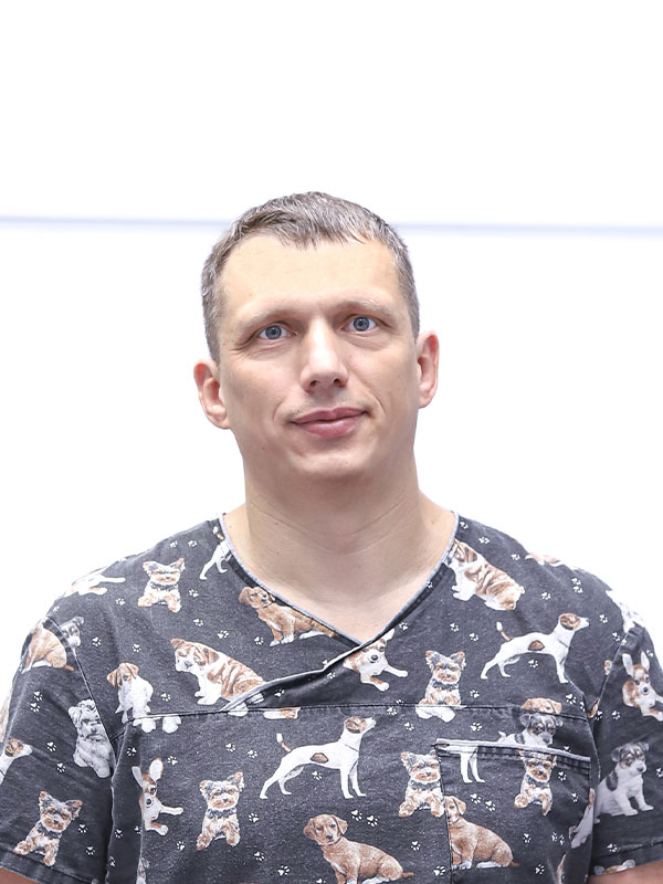 Dynamic Content Image